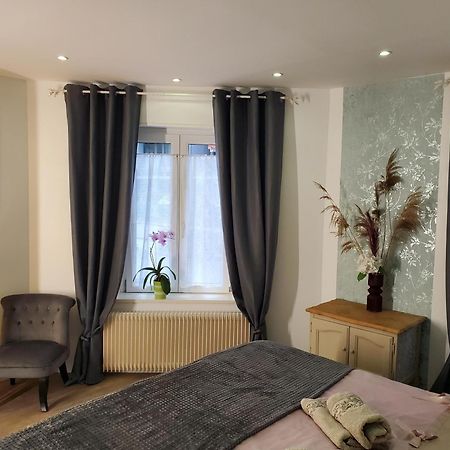 Mirka & Franck Apartment Chic 4 Stars Parking Free Colmar Esterno foto