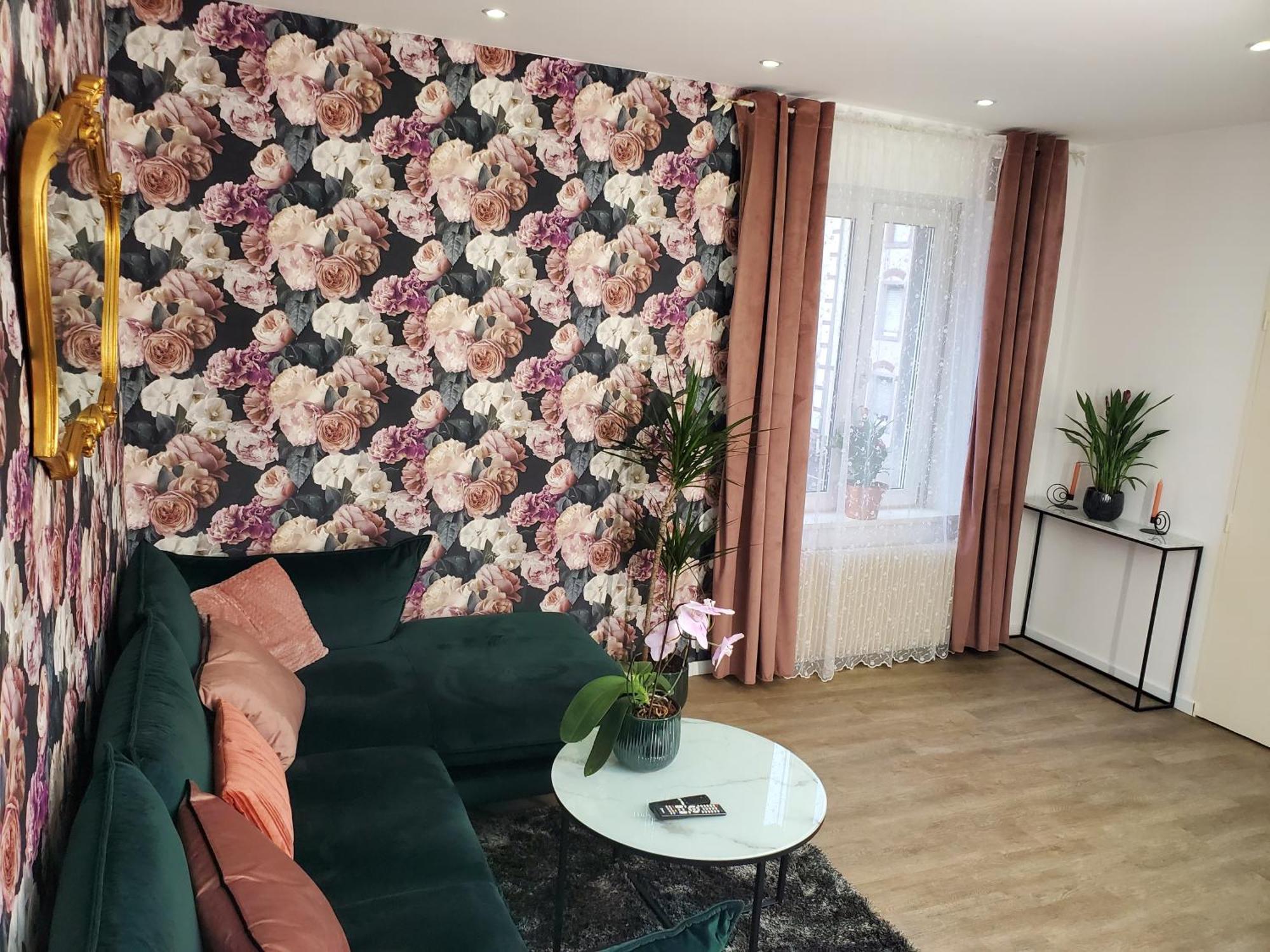 Mirka & Franck Apartment Chic 4 Stars Parking Free Colmar Esterno foto