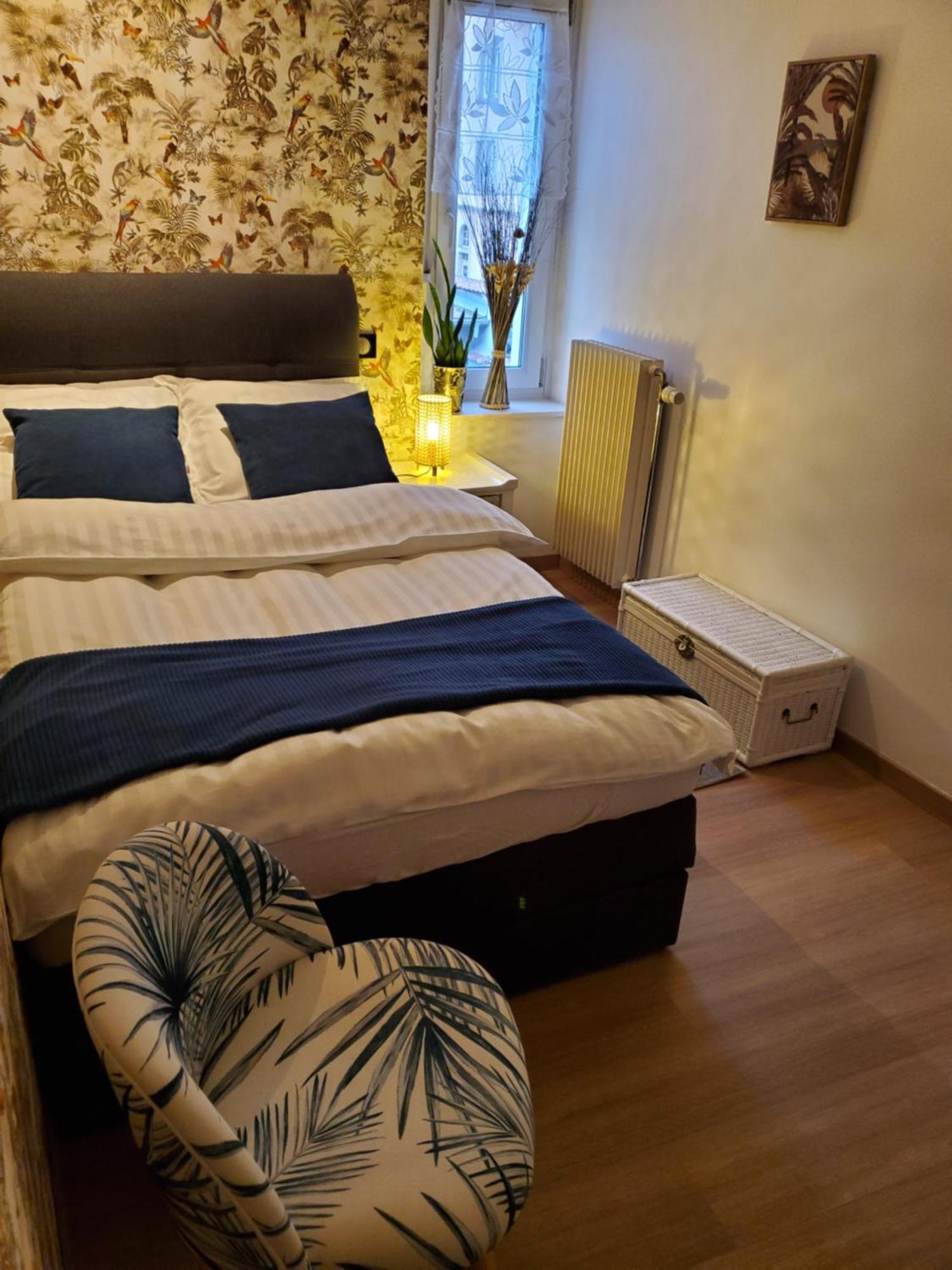 Mirka & Franck Apartment Chic 4 Stars Parking Free Colmar Esterno foto